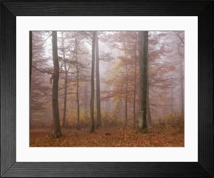 Framed Print : Picture No. 10886465 Framed Print : Picture No. 10886465