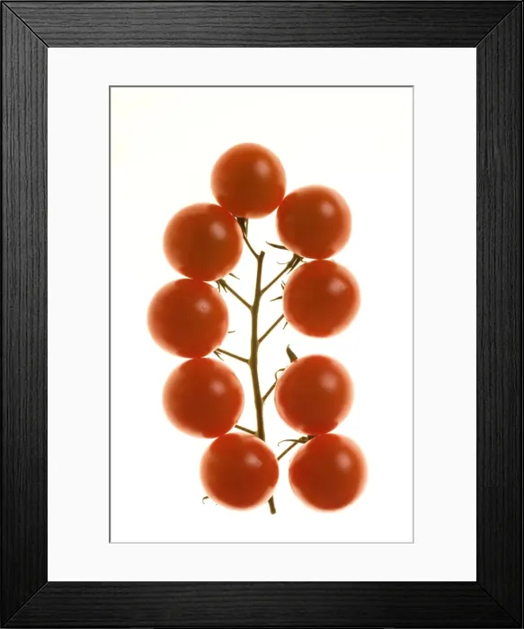 Framed Print : Picture No. 10886411 Framed Print : Picture No. 10886411