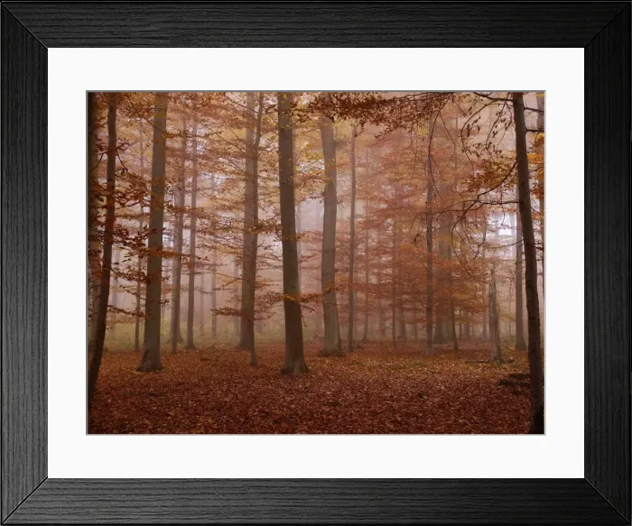 Framed Print : Picture No. 10886467 Framed Print : Picture No. 10886467