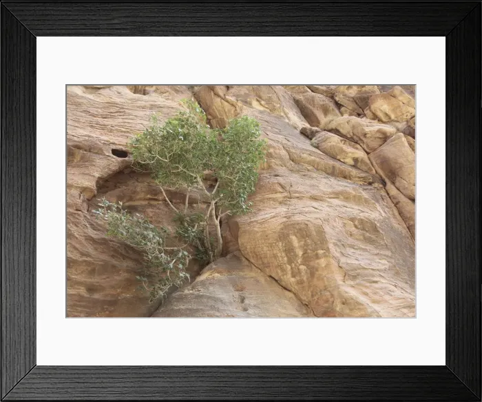 Framed Print : Picture No. 10886703