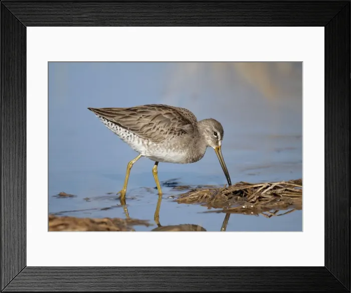 Framed Print : Picture No. 10885315 Framed Print : Picture No. 10885315