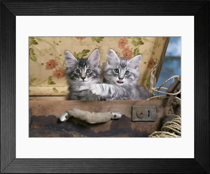 Framed Print : Picture No. 10887791 Framed Print : Picture No. 10887791