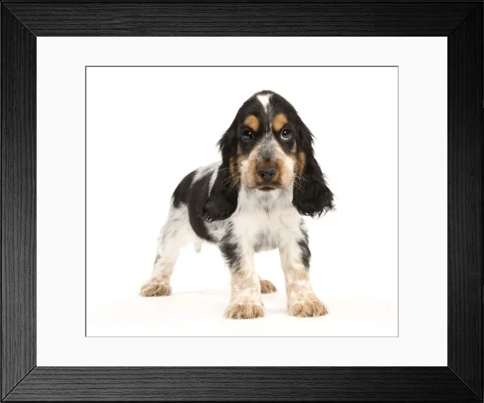 Framed Print : Picture No. 10888013 Framed Print : Picture No. 10888013