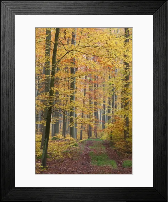 Framed Print : Picture No. 10887303 Framed Print : Picture No. 10887303