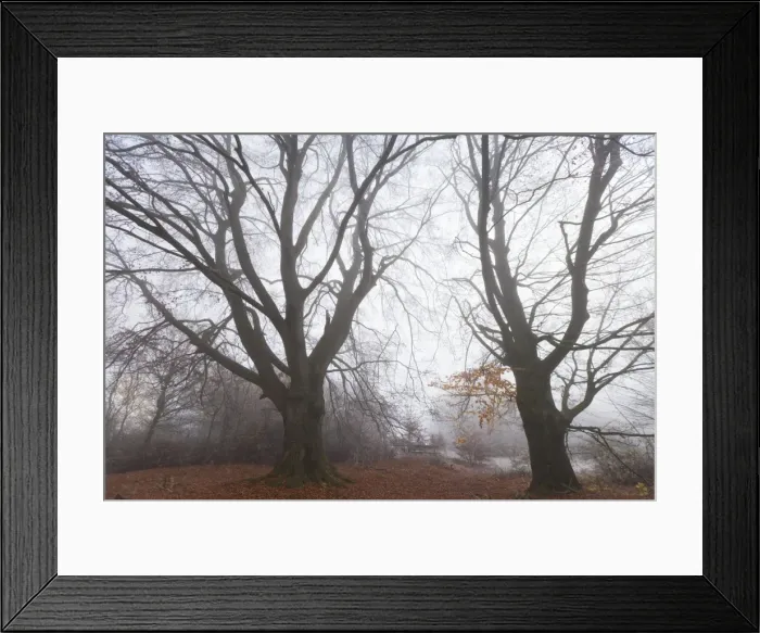 Framed Print : Picture No. 10887313 Framed Print : Picture No. 10887313