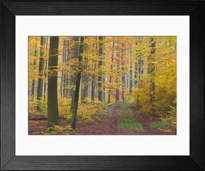 Framed Print : Picture No. 10887302 Framed Print : Picture No. 10887302