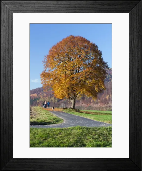 Framed Print : Picture No. 10887333 Framed Print : Picture No. 10887333