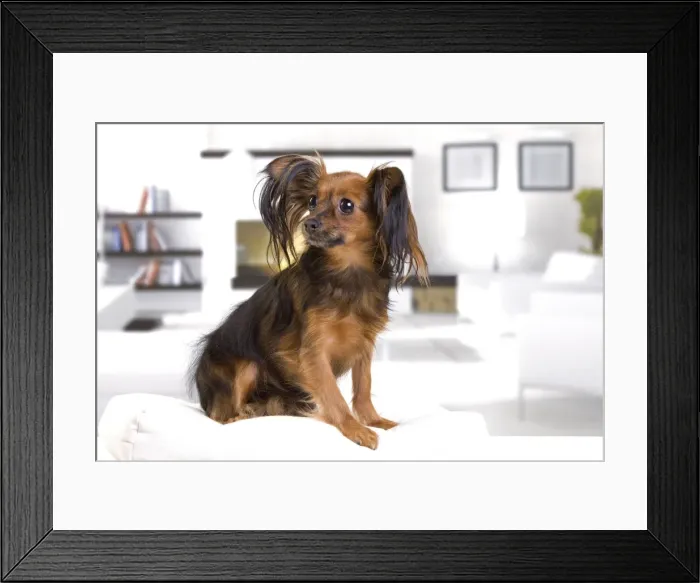Framed Print : Picture No. 10888023 Framed Print : Picture No. 10888023