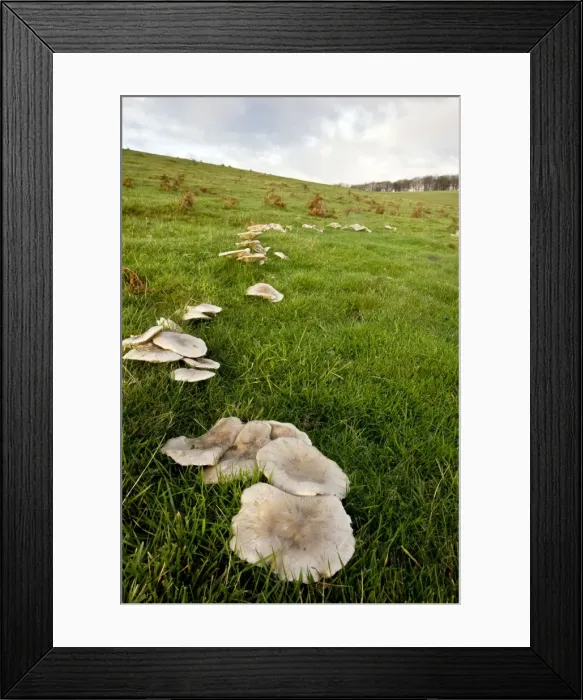 Framed Print : Picture No. 10887215 Framed Print : Picture No. 10887215