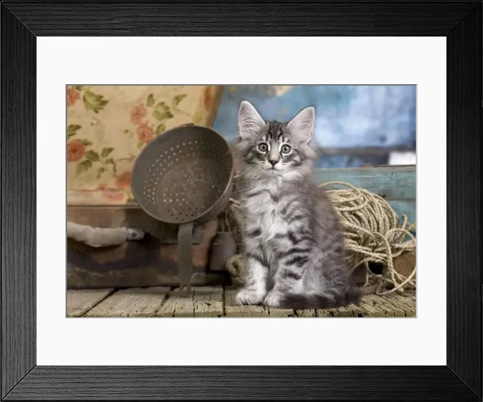 Framed Print : Picture No. 10887794 Framed Print : Picture No. 10887794