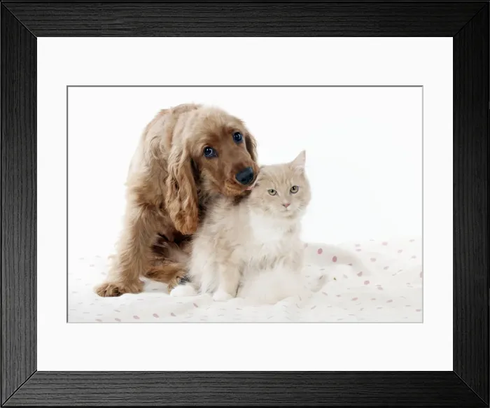 Framed Print : Picture No. 10887435 Framed Print : Picture No. 10887435