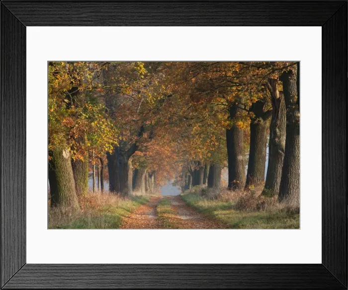 Framed Print : Picture No. 10887340 Framed Print : Picture No. 10887340