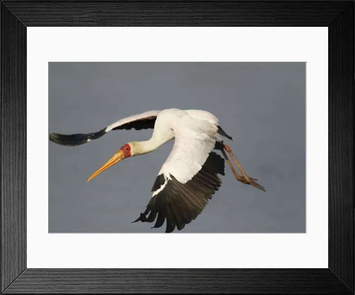 Framed Print : Picture No. 10887279 Framed Print : Picture No. 10887279