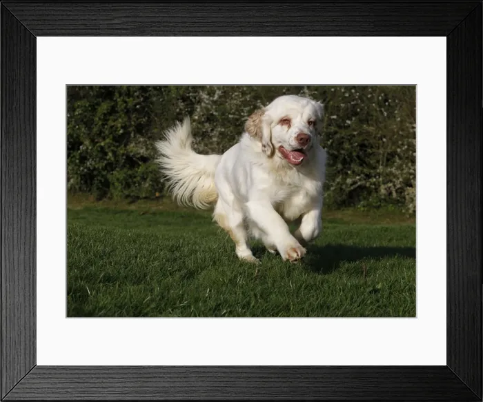 Framed Print : Picture No. 10887740 Framed Print : Picture No. 10887740
