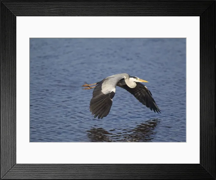 Framed Print : Picture No. 10887243 Framed Print : Picture No. 10887243