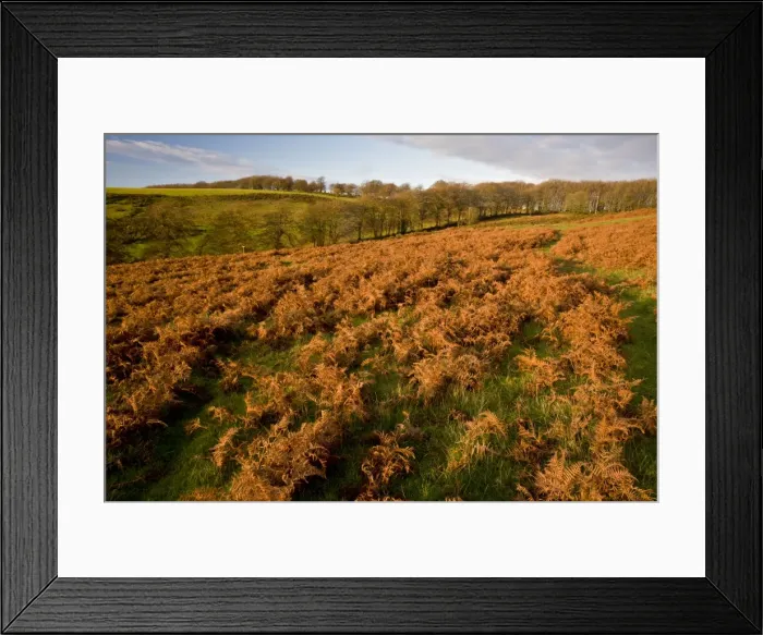 Framed Print : Picture No. 10887218 Framed Print : Picture No. 10887218