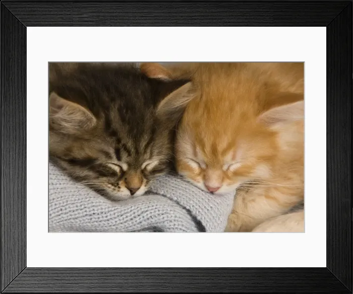 Framed Print : Picture No. 10887726 Framed Print : Picture No. 10887726
