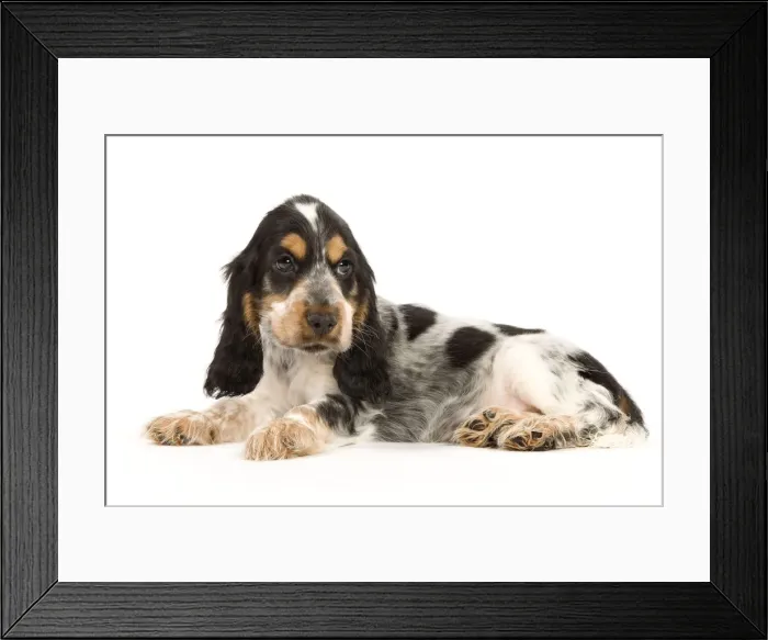 Framed Print : Picture No. 10888019 Framed Print : Picture No. 10888019