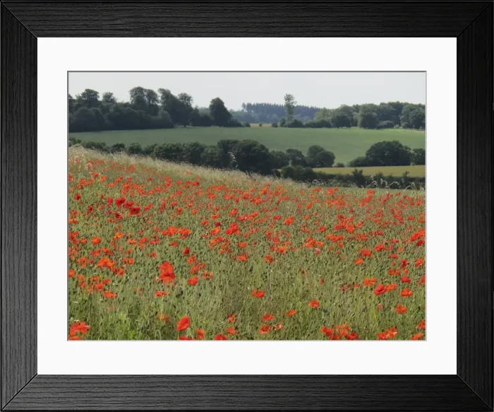 Framed Print : Picture No. 10887523 Framed Print : Picture No. 10887523