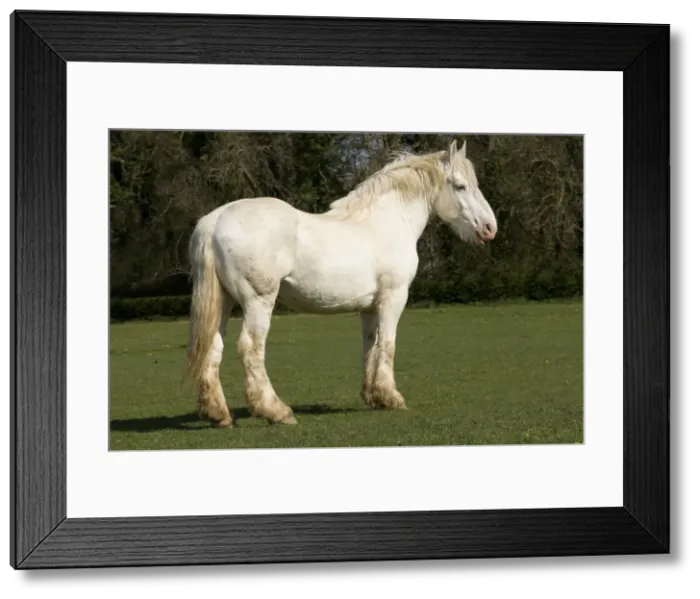 Framed Print : Picture No. 10887927 Framed Print : Picture No. 10887927