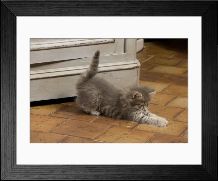 Framed Print : Picture No. 10887724 Framed Print : Picture No. 10887724