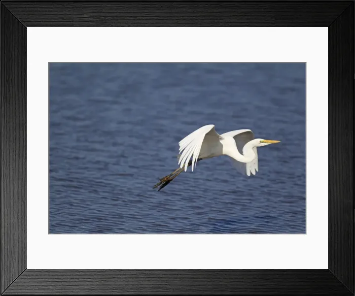 Framed Print : Picture No. 10887256 Framed Print : Picture No. 10887256