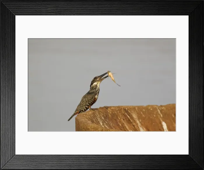 Framed Print : Picture No. 10887265 Framed Print : Picture No. 10887265