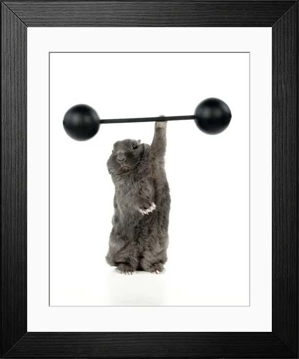 Framed Print : Picture No. 10887427 Framed Print : Picture No. 10887427