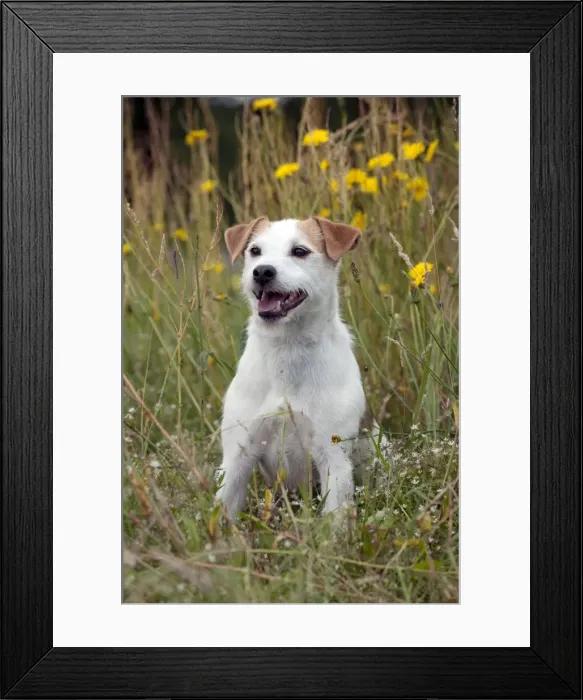 Framed Print : Picture No. 10887442 Framed Print : Picture No. 10887442