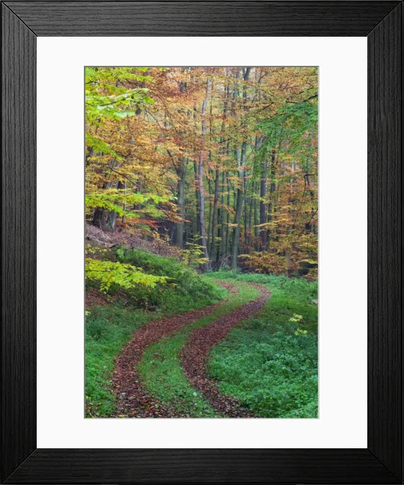 Framed Print : Picture No. 10887301 Framed Print : Picture No. 10887301