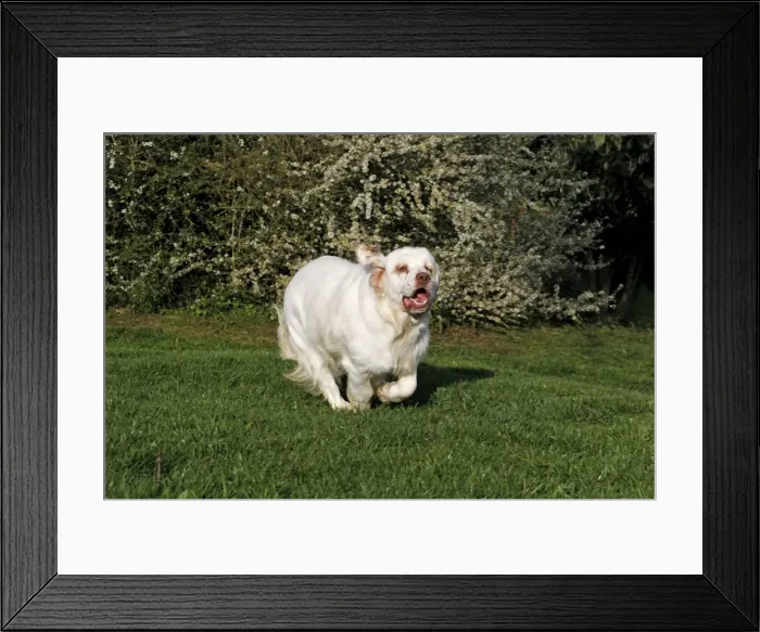 Framed Print : Picture No. 10887739 Framed Print : Picture No. 10887739