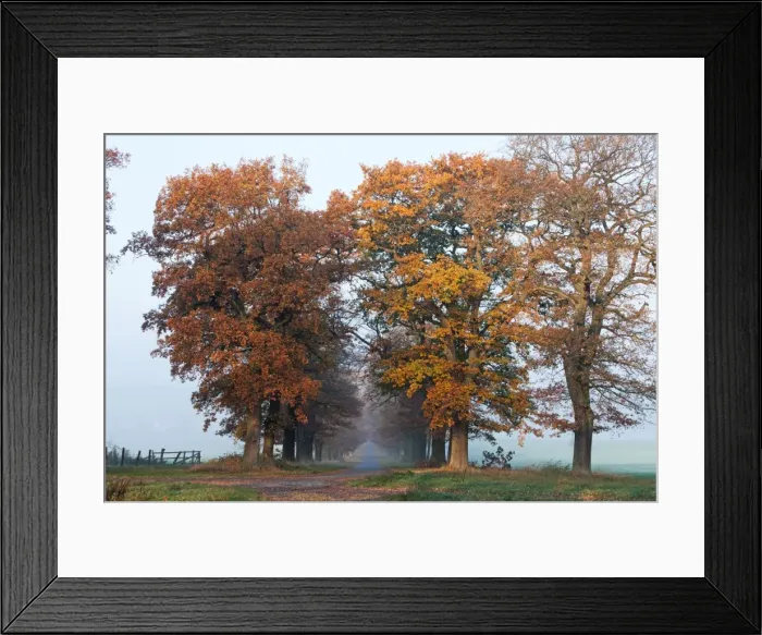 Framed Print : Picture No. 10887339