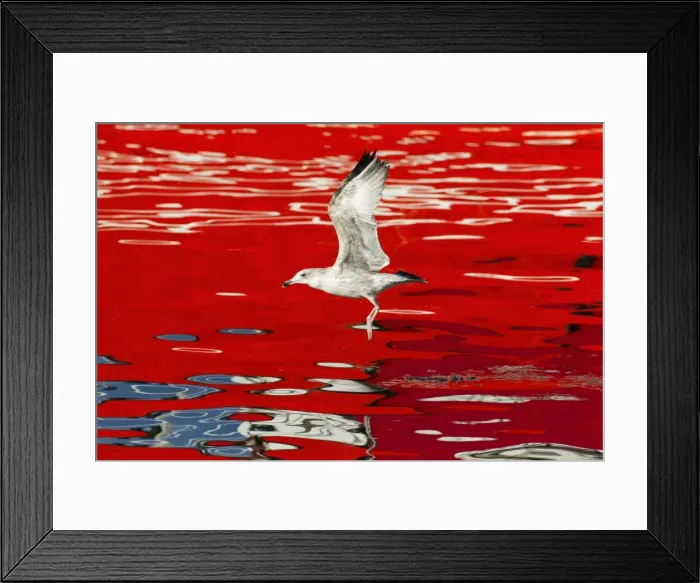 Framed Print : Picture No. 10887350