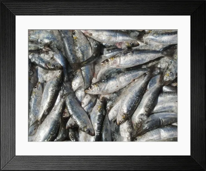 Framed Print : Picture No. 10887542 Framed Print : Picture No. 10887542