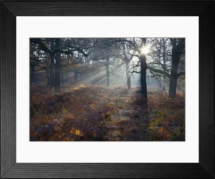 Framed Print : Picture No. 10887306 Framed Print : Picture No. 10887306
