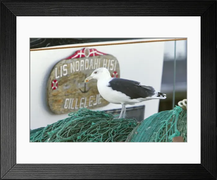 Framed Print : Picture No. 10887351 Framed Print : Picture No. 10887351