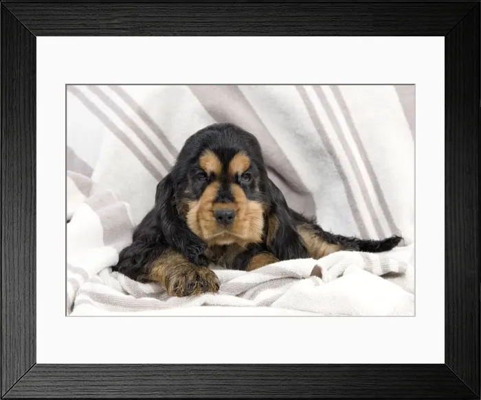 Framed Print : Picture No. 10888010 Framed Print : Picture No. 10888010