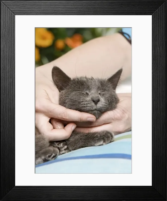 Framed Print : Picture No. 10887923 Framed Print : Picture No. 10887923
