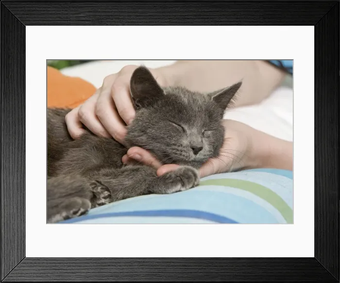 Framed Print : Picture No. 10887921