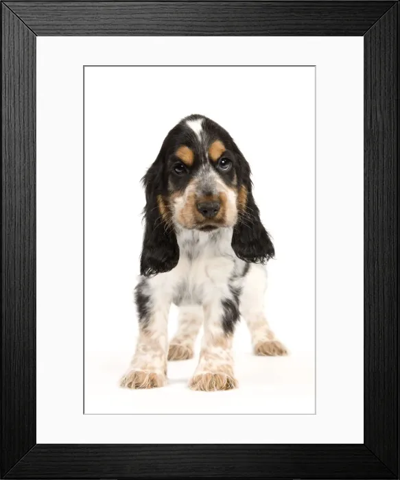 Framed Print : Picture No. 10888015 Framed Print : Picture No. 10888015