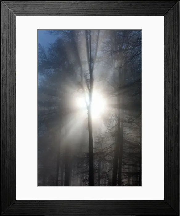 Framed Print : Picture No. 10887309 Framed Print : Picture No. 10887309