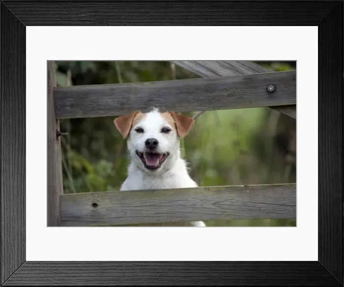 Framed Print : Picture No. 10887447 Framed Print : Picture No. 10887447