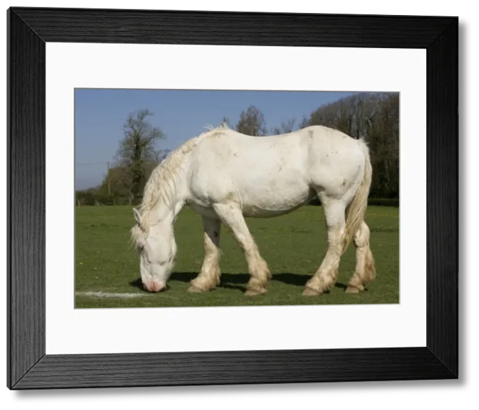 Framed Print : Picture No. 10887929 Framed Print : Picture No. 10887929