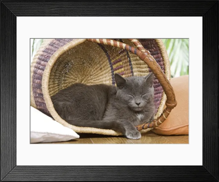 Framed Print : Picture No. 10887913 Framed Print : Picture No. 10887913
