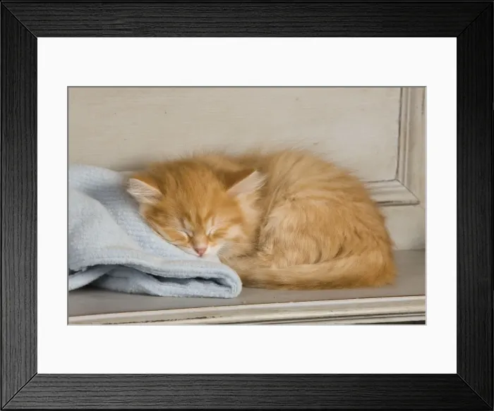 Framed Print : Picture No. 10887720 Framed Print : Picture No. 10887720