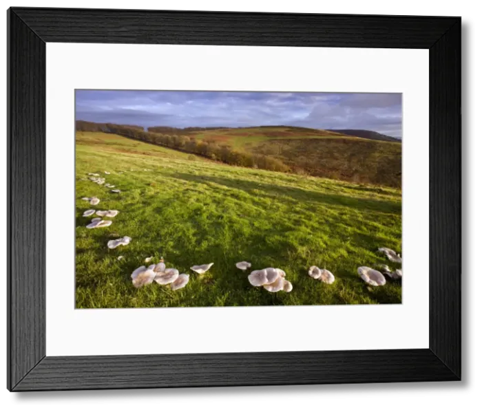 Framed Print : Picture No. 10887217 Framed Print : Picture No. 10887217