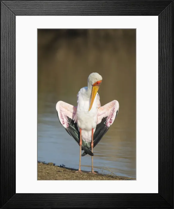 Framed Print : Picture No. 10887275 Framed Print : Picture No. 10887275