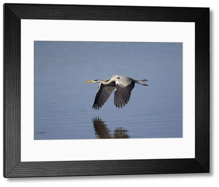 Framed Print : Picture No. 10887244 Framed Print : Picture No. 10887244