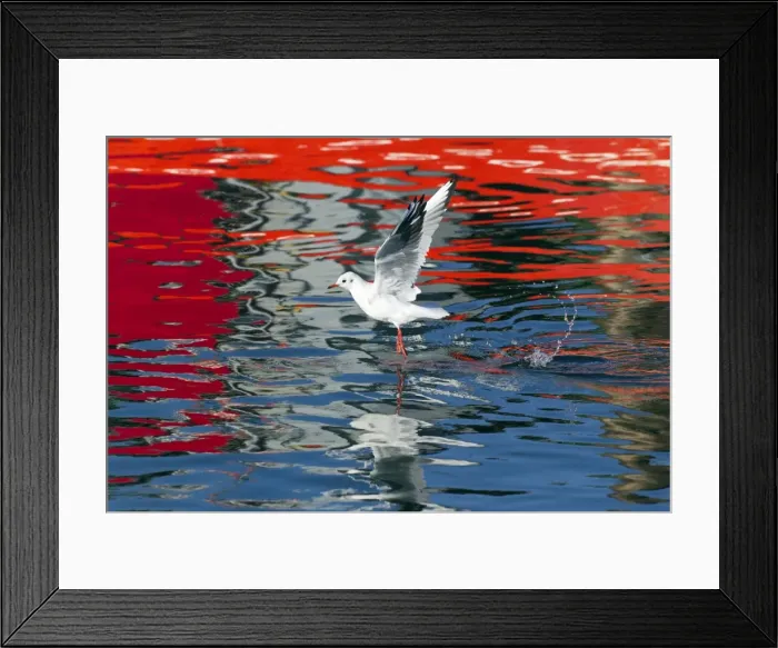 Framed Print : Picture No. 10887349 Framed Print : Picture No. 10887349
