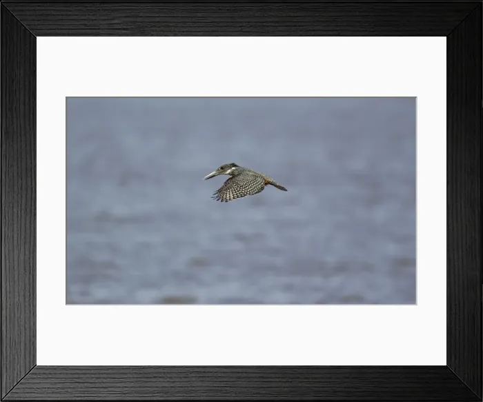 Framed Print : Picture No. 10887264 Framed Print : Picture No. 10887264